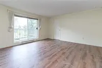 View 14