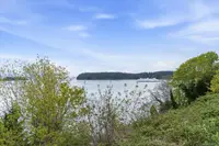 View 42