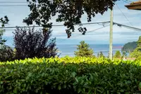 View 38