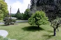 View 41