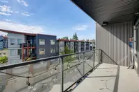 View 19