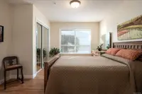 View 14