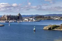 View 22