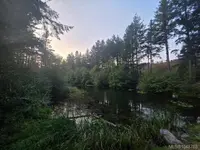 View 77