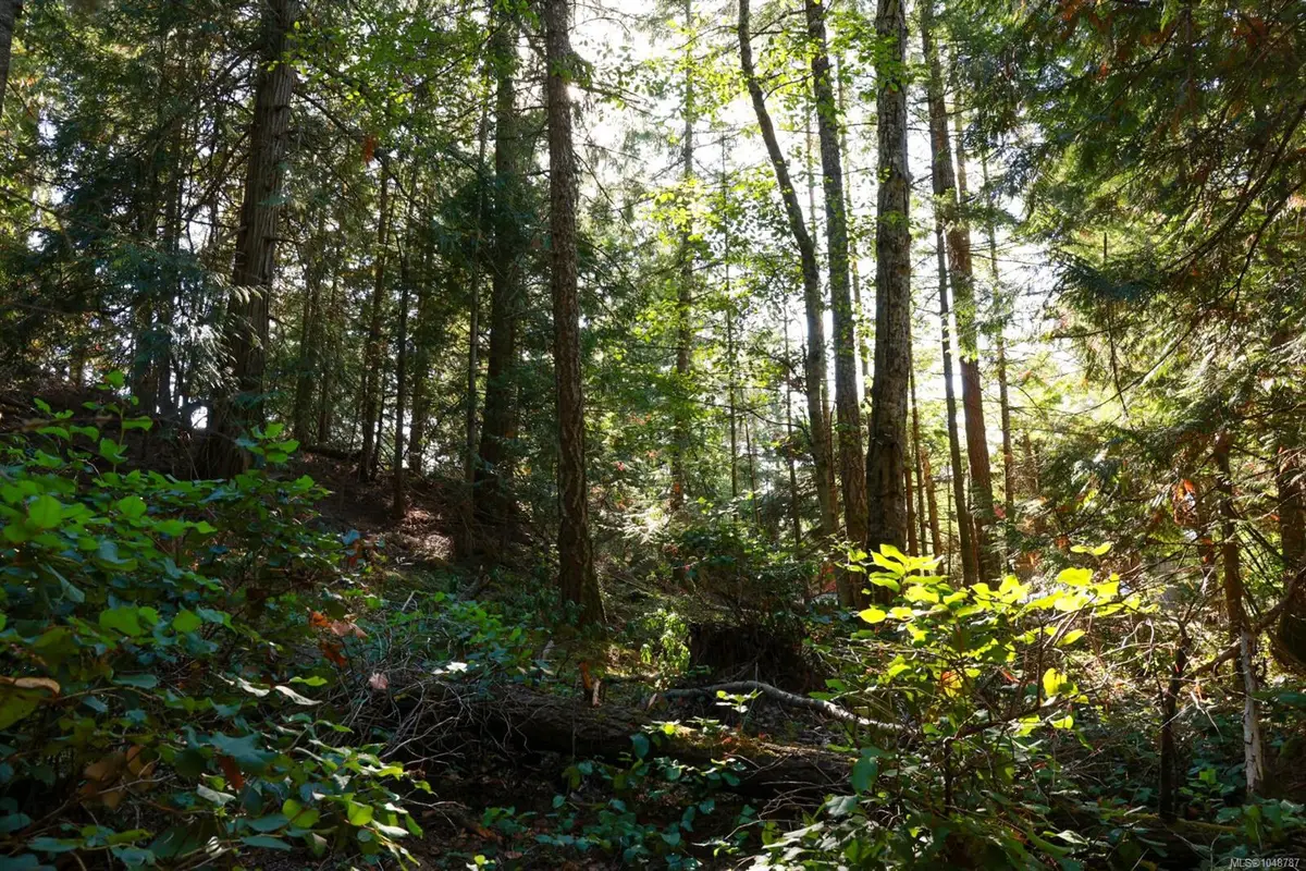 3624 Foc-sle Rd, Pender Island BC V0N 2M0