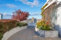 View 25