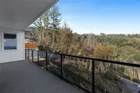 View 11