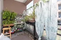 View 17