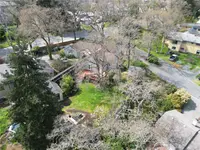 View 39