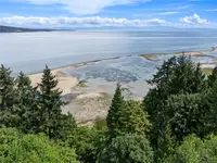 View 12