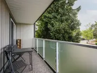 View 19