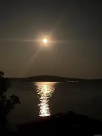 View 49