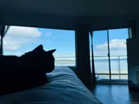 View 51