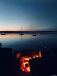View 50