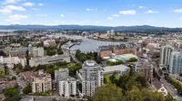 View 49
