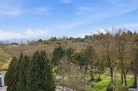 View 31