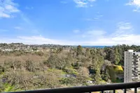 View 14