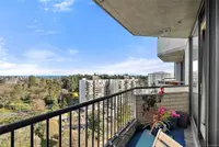 View 15