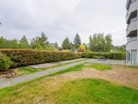 View 24