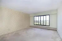 View 15