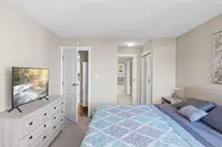 View 15