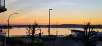 View 40