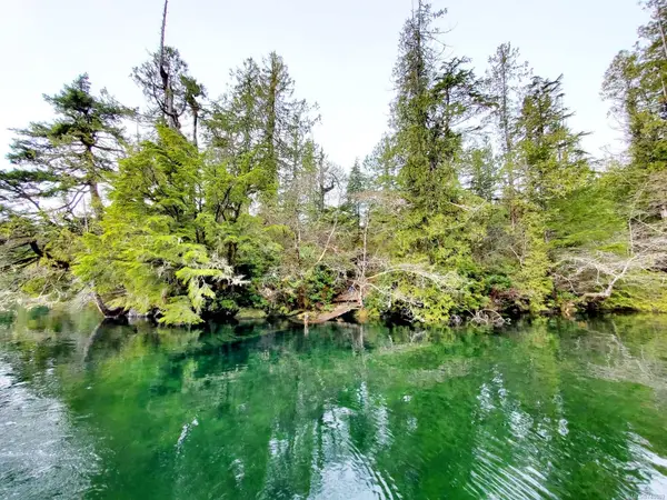 LT 3 Cypress Bay, Tofino BC V0R 3A0 - 1 bed, 1 bath in Tofino