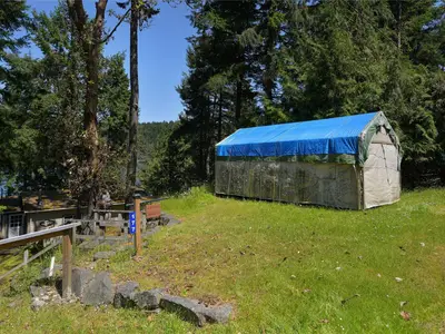 View 33