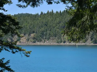 View 50