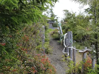 View 24