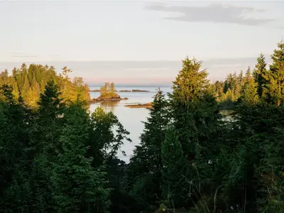 View 10
