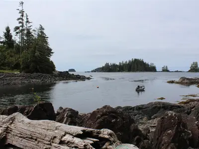 View 21