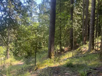 View 6
