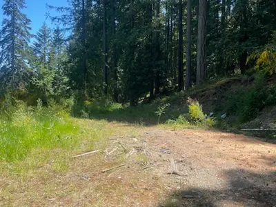 View 13