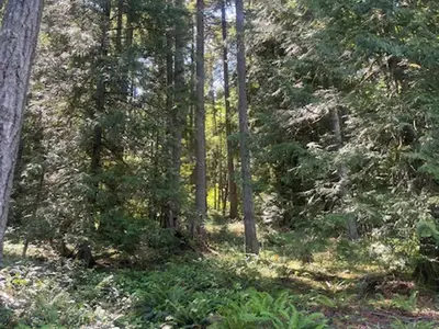 View 17