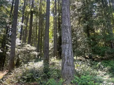 View 16
