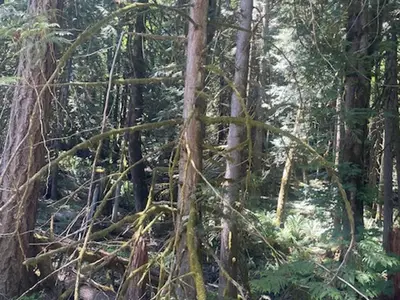 View 10