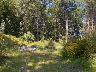 View 14