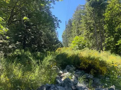 View 8