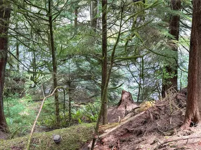 View 45