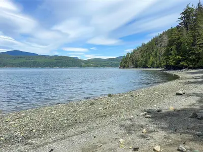 View 50
