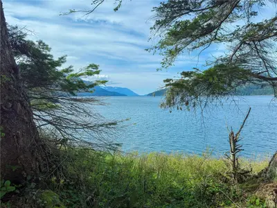 View 40