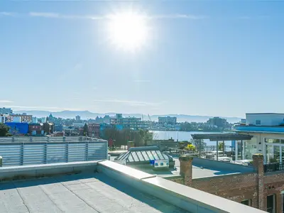View 41