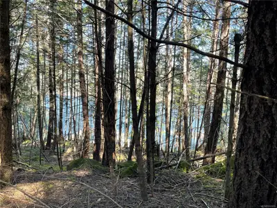 View 27