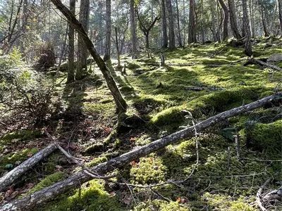 View 12