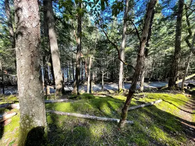 View 26