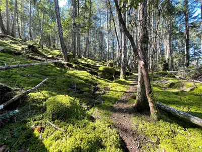 View 22