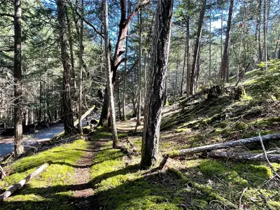 View 14