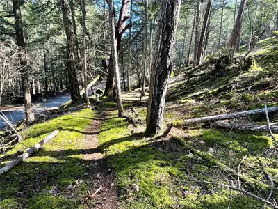 View 11