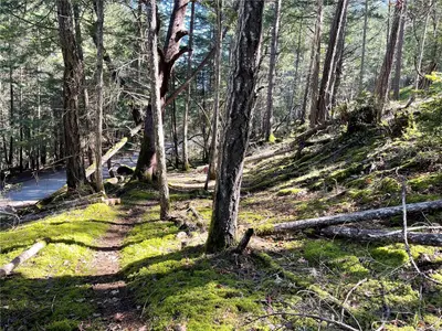 View 19